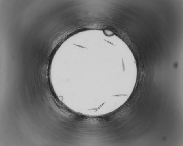 X0000115230299200912111037