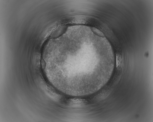 X0000115230300200912111037