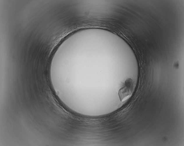 X0000115230301200912111037