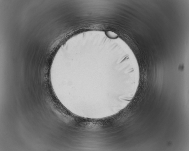 X0000115230303200912111037