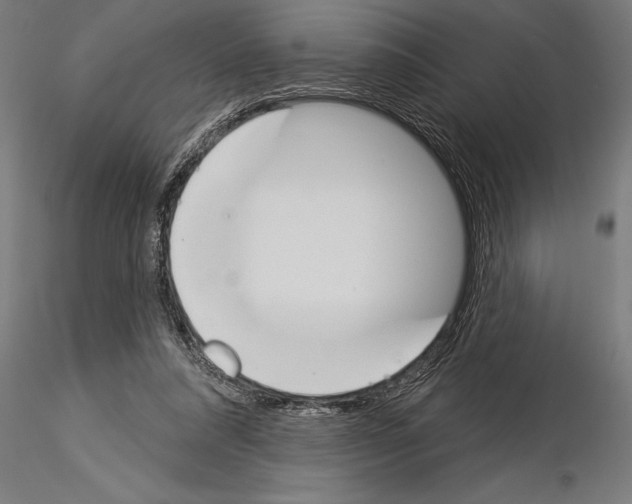 X0000115230304200912111037