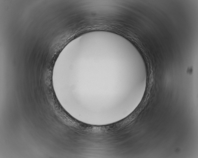 X0000115230305200912111037