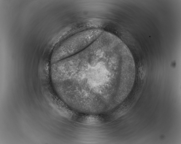 X0000115230308200912111037