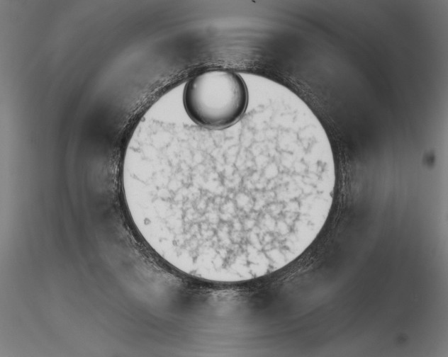 X0000115230309200912111037