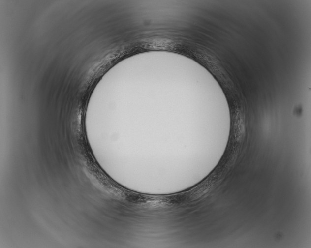 X0000115230310200912111037