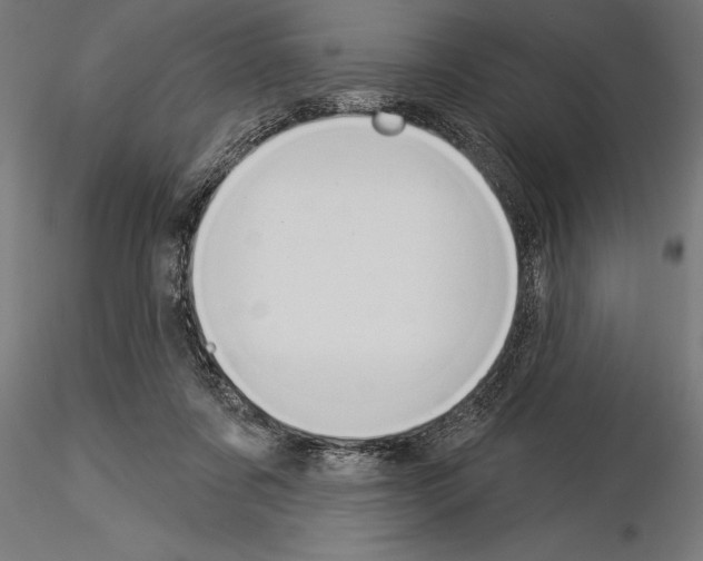 X0000115230311200912111037