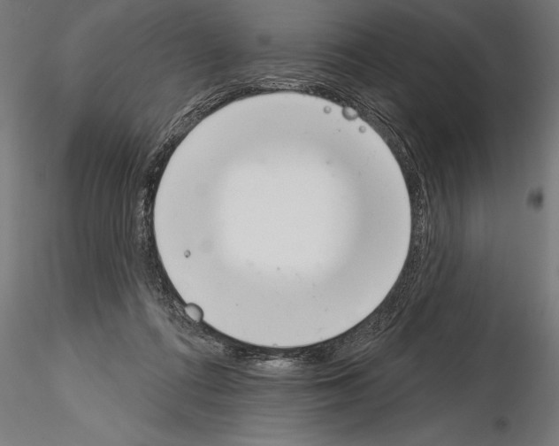 X0000115230312200912111037