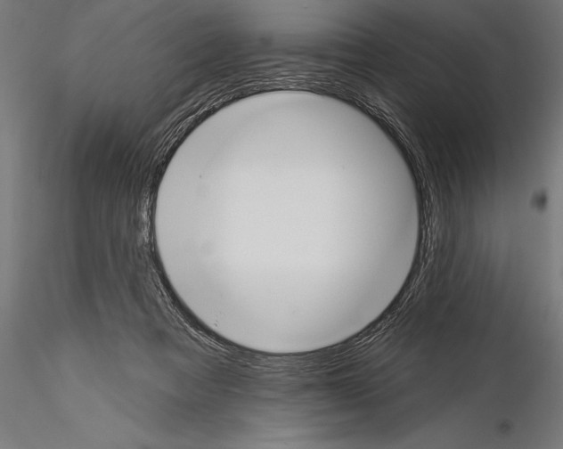 X0000115230313200912111037