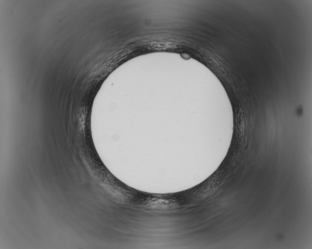 X0000115230315200912111037