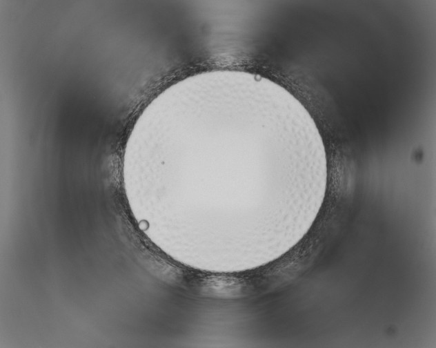 X0000115230317200912111037