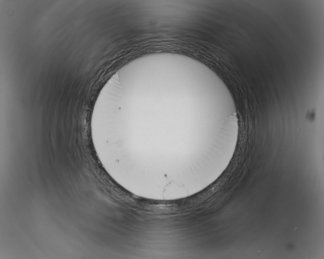 X0000115230320200912111037