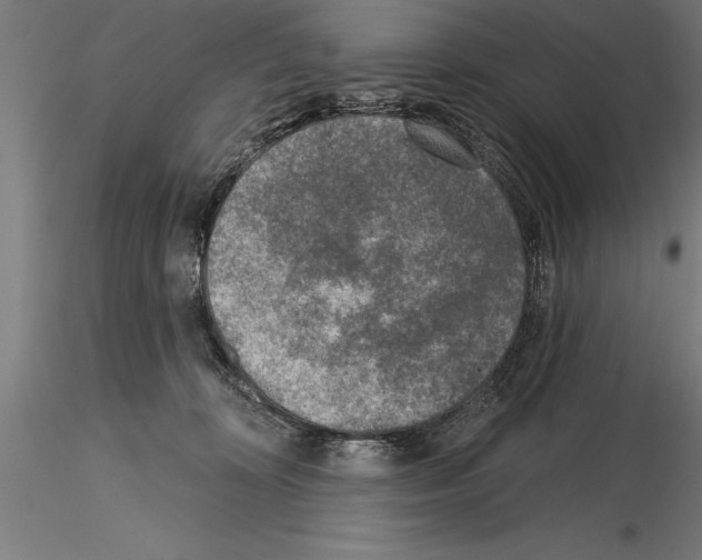 X0000115230324200912111037