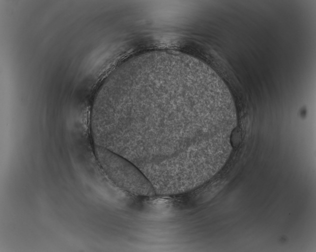 X0000115230325200912111037