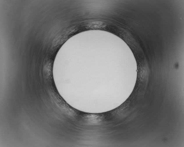 X0000115230326200912111037