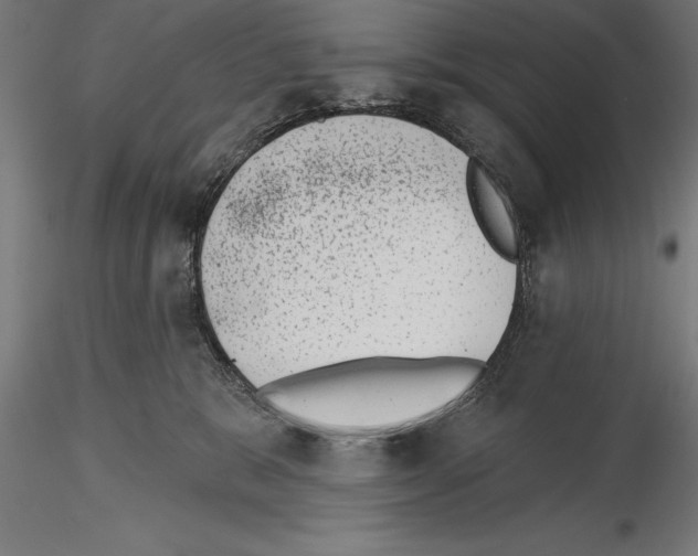 X0000115230327200912111037