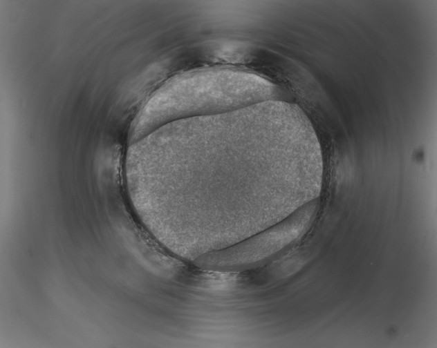 X0000115230328200912111037