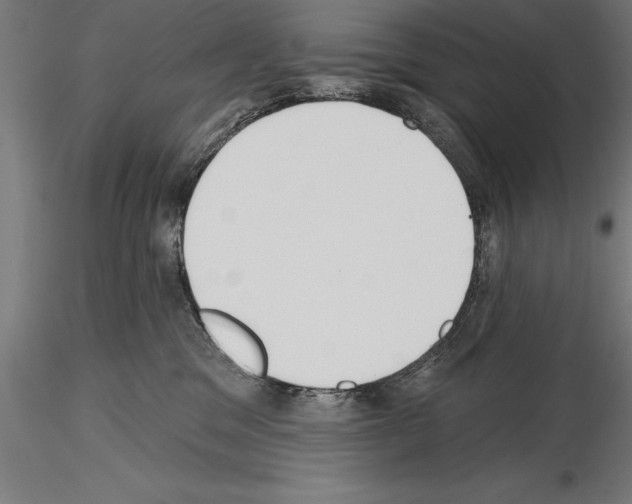 X0000115230329200912111037