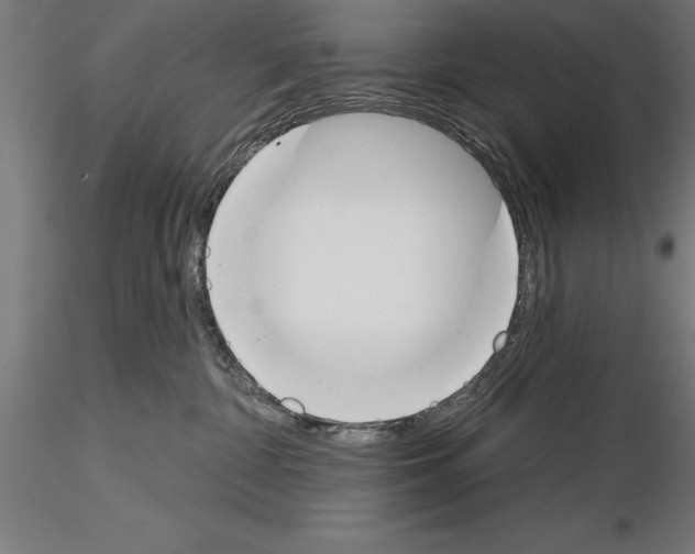 X0000115230332200912111036