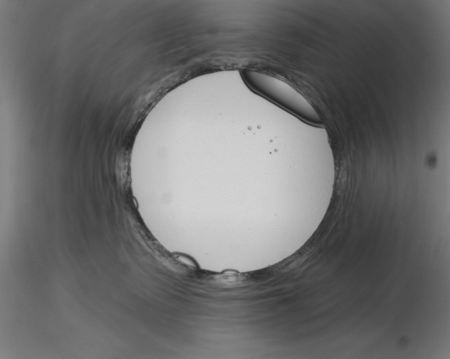 X0000115230335200912111036