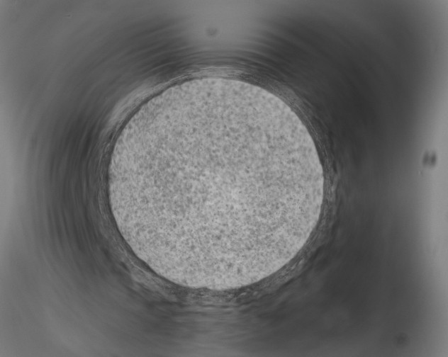 X0000115230337200912111036