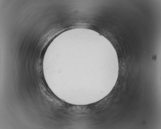 X0000115230338200912111036