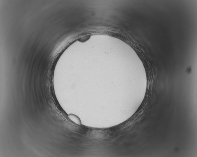 X0000115230341200912111036