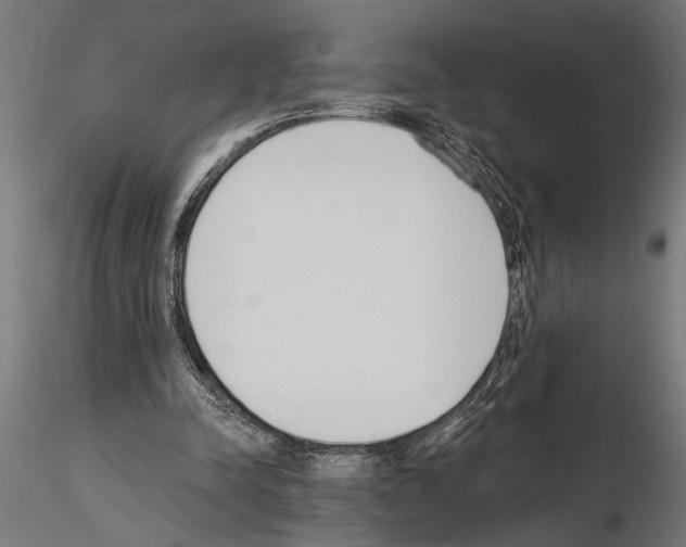 X0000115230342200912111036