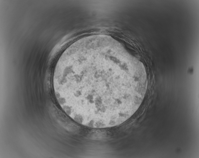 X0000115230343200912111036