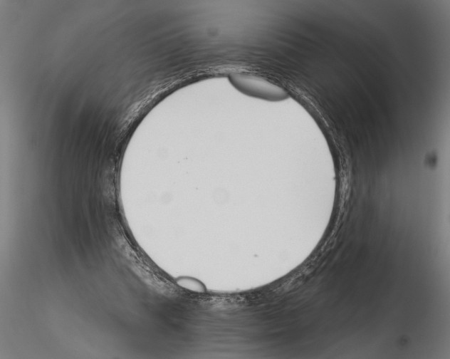 X0000115230345200912111036