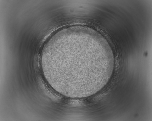 X0000115230347200912111036