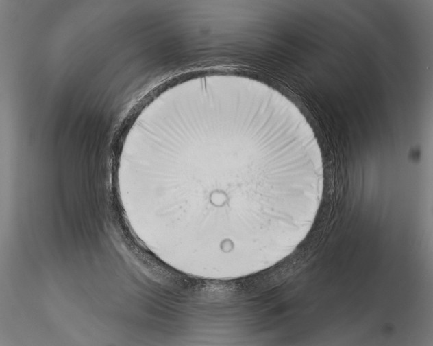 X0000115230350200912111036