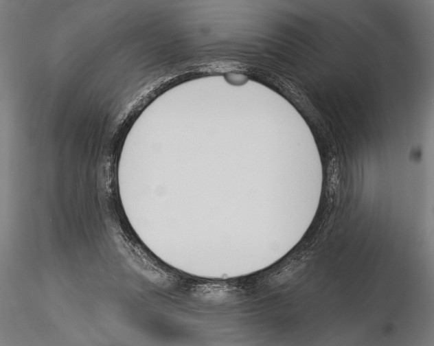 X0000115230351200912111036