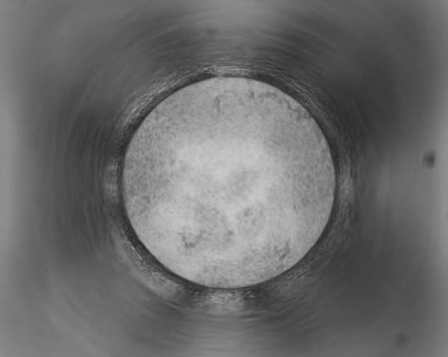 X0000115230353200912111036