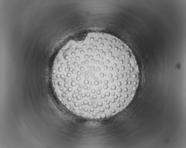 X0000115230354200912111036