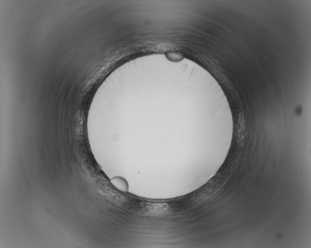 X0000115230355200912111036