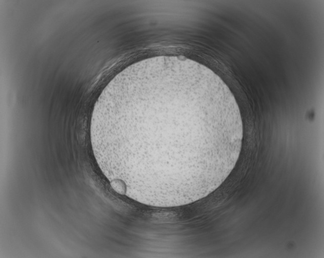 X0000115230357200912111036