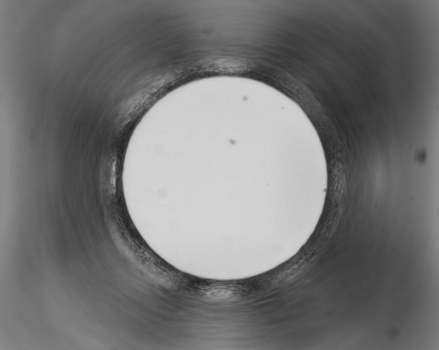 X0000115230358200912111036