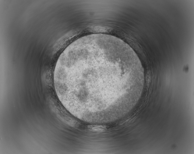 X0000115230359200912111036