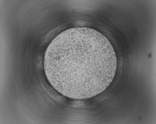 X0000115230361200912111036