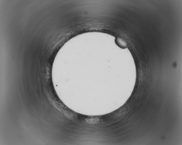 X0000115230362200912111036