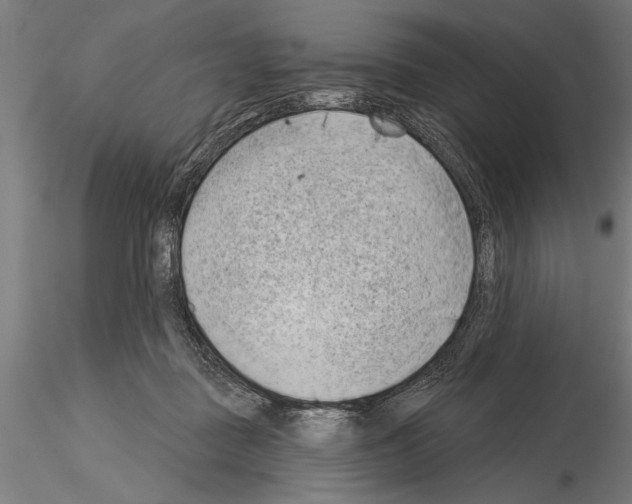 X0000115230363200912111036