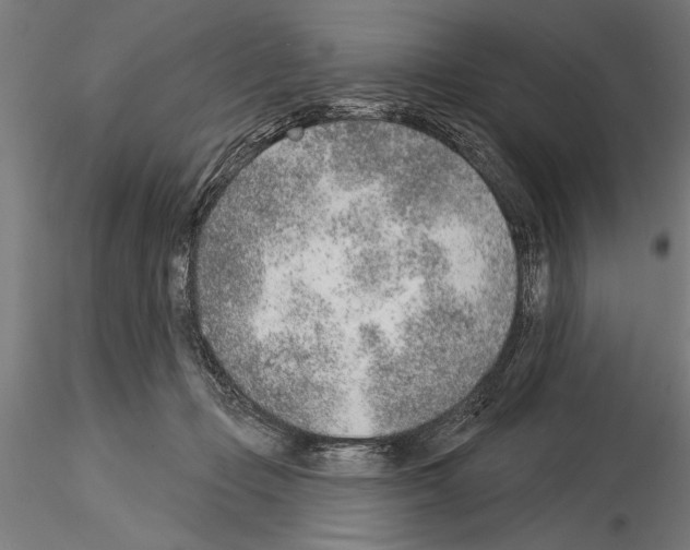 X0000115230365200912111036