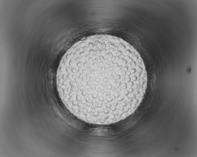 X0000115230366200912111036