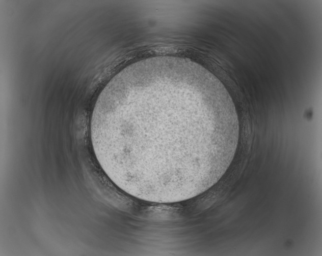 X0000115230367200912111036