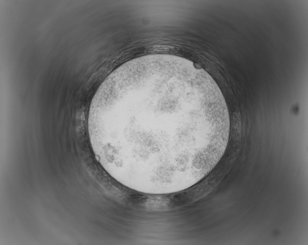 X0000115230369200912111036