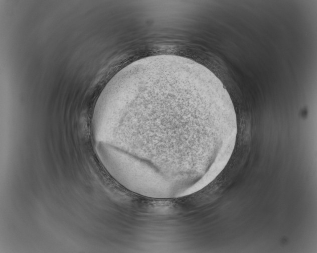 X0000115230377200912111036