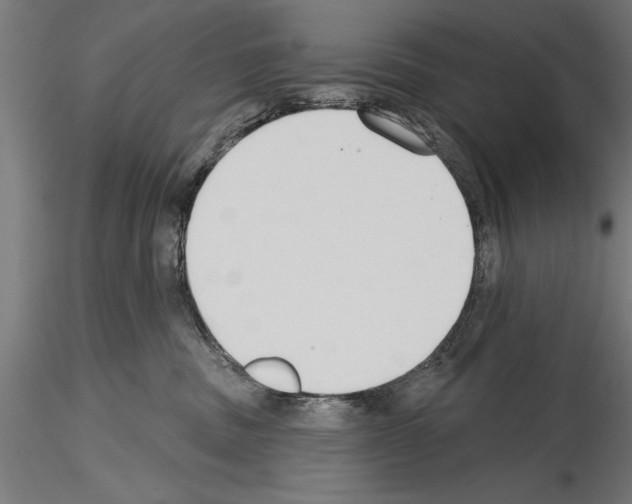 X0000115230379200912111036