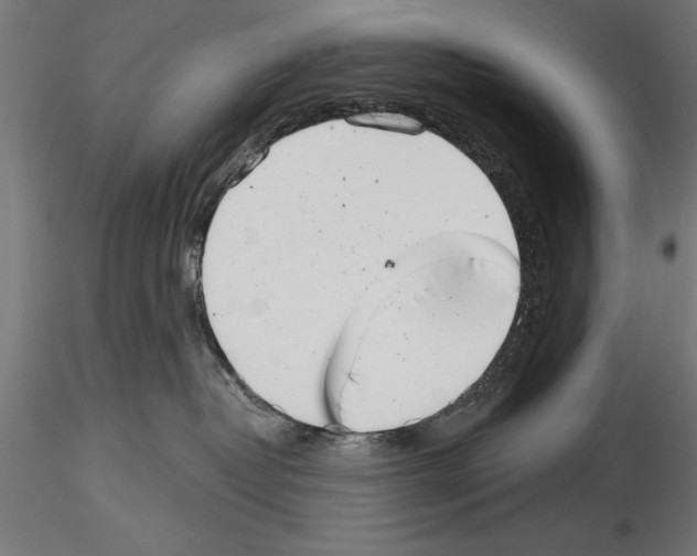 X0000115230382200912111036