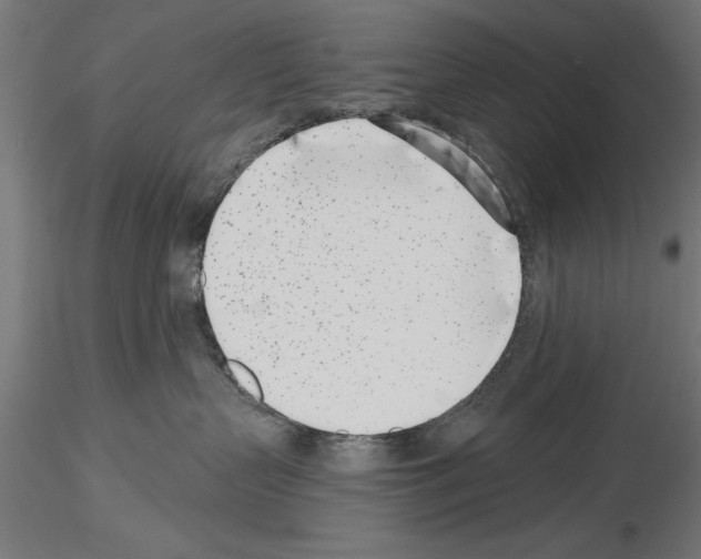 X0000115230383200912111036