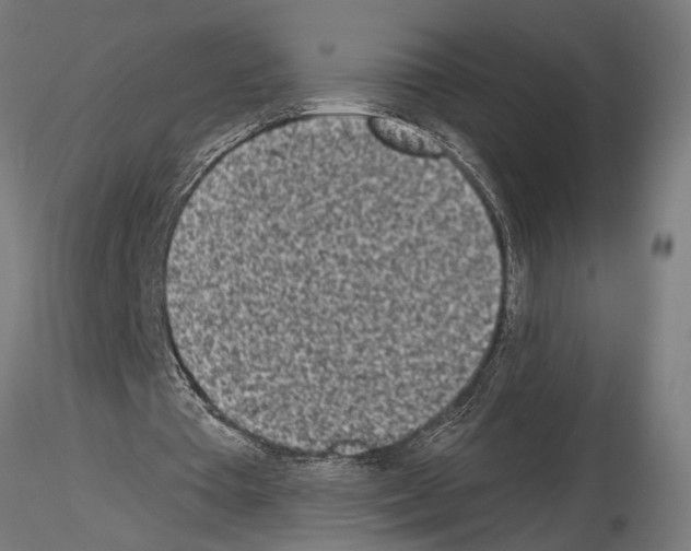 X0000115230385200912111036